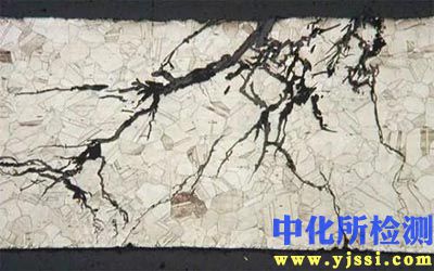 氯化物腐蝕試驗(yàn)